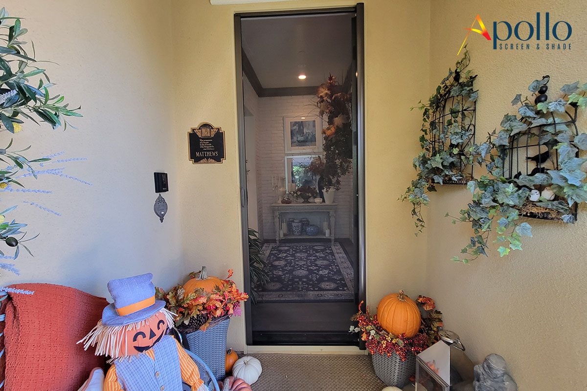 Front Door Retractable Del Sure_ CA-6381.jpg